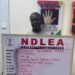 NDLEA arrests notorious drug kingpin Chidiebere in Lagos after 13 years in hiding