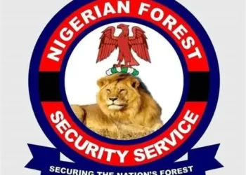 Isoko North Council partners Nigerian Forest Security Service to tackle kidnapping, terrorism