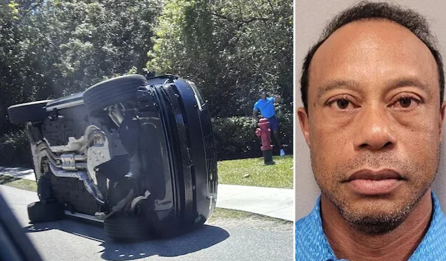 Tiger Woods released on bail after Florida crash, faces charges