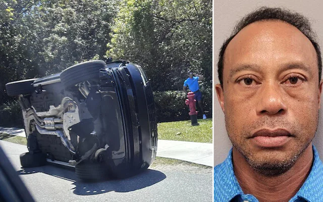 Tiger Woods released on bail after Florida crash, faces charges