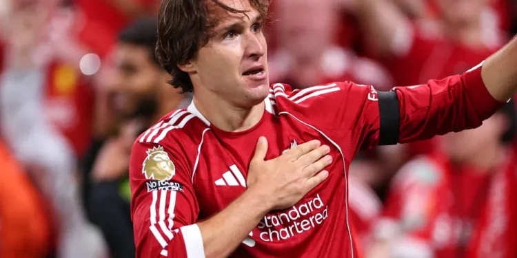 Liverpool’s Federico Chiesa returns to Italy squad ahead of crucial World Cup play-off against Northern Ireland