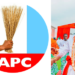 Arenyeka takes over as chairman of Delta APC, promises to sustain party’s legacy