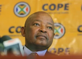 South Africa's ex-defence minister, a former Robben Island prisoner dies