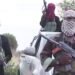 Outrage as Boko Haram terrorists demand ₦5bn ransom for 416 victims abducted in Borno