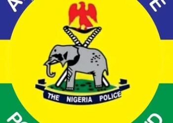 Birthday celebration turns tragic as police arrest two over killing in Adamawa