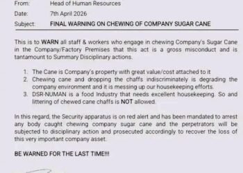 Dangote Sugar Refinery issues final warning to staff over chewing Sugar Cane at Adamawa Plant