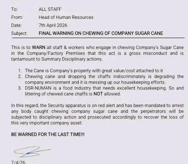 Dangote Sugar Refinery issues final warning to staff over chewing Sugar Cane at Adamawa Plant