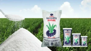 Dangote Sugar Refinery issues final warning to staff over chewing Sugar Cane at Adamawa Plant 