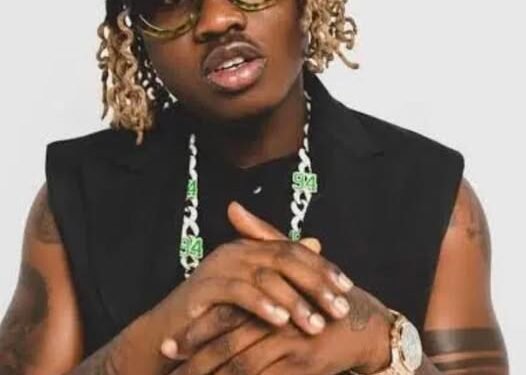 Zlatan Ibile
