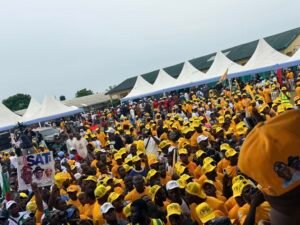 Mammoth crowd as Dafinone shuts down Ughelli, declares for second term  