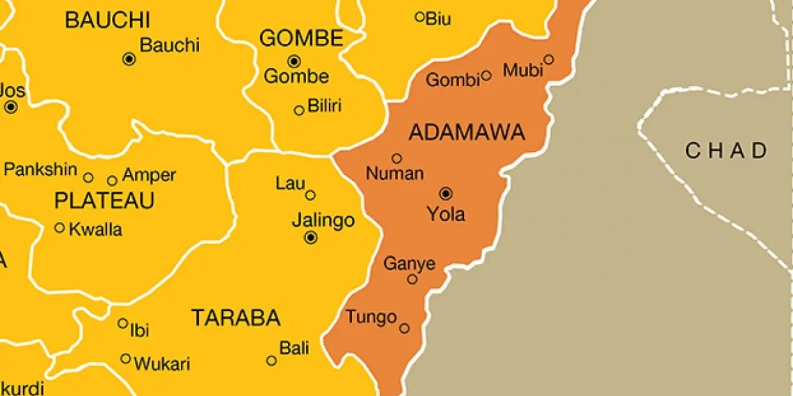 2027: Adamawa State on a slippery slope
