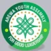 Arewa Youth Assembly urges Tinubu Government to deploy Drones, modern weapons to tackle insecurity