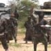Suspected Boko Haram kills 15, scores injured in Adamawa community