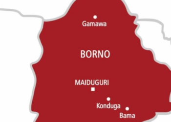 Colonel, dozens of soldiers feared dead in Boko Haram assault on Munguno