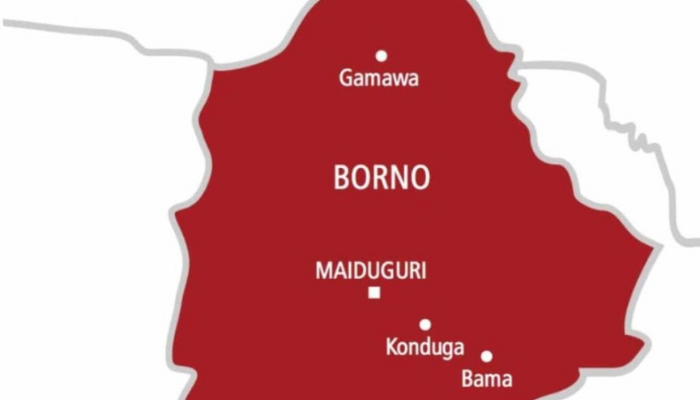 Colonel, dozens of soldiers feared dead in Boko Haram assault on Munguno