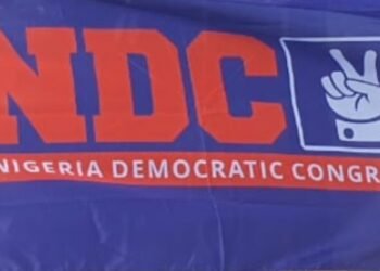 NDC disowns fake X account linking Peter Obi, Kwankwaso to 2027 bid, reaffirms open-door policy