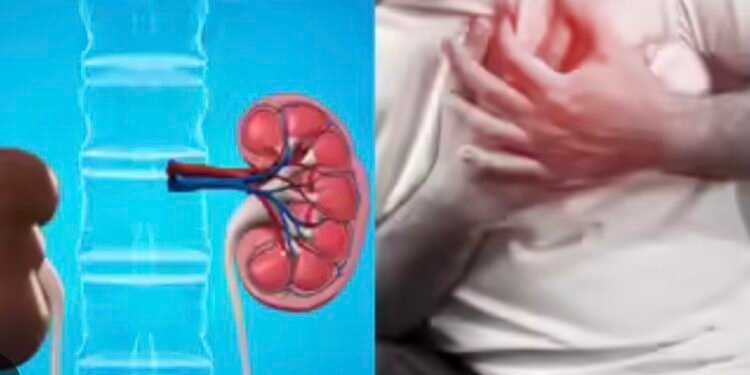 organ harvesting Nigeria