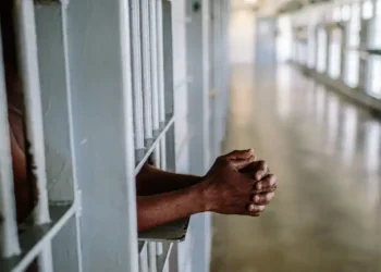 Court sentences Borno politician to 10 years imprisonment for aiding Boko Haram terrorists