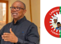 Labour Party rules out Peter Obi’s return for 2027 presidential ticket