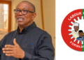 Labour Party rules out Peter Obi’s return for 2027 presidential ticket