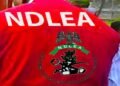 NDLEA uncovers ₦16.9bn worth of tramadol, codeine in Lagos