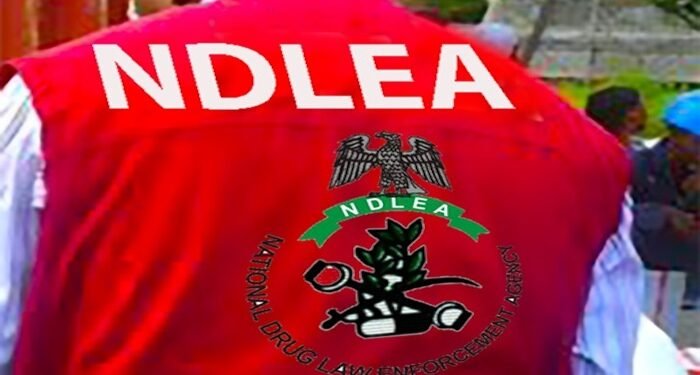 National Drug Law Enforcement Agency (NDLEA) has launched a nationwide training programme