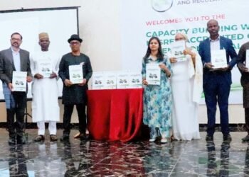 NESDREA partners global agencies to boost Carbon Capture Technology, drive green economy in Nigeria