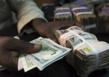 Naira holds steady at ₦1,340.88/$ amid improved forex stability