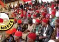 Ohanaeze proscribes 'Eze Ndigbo' diaspora titles, says Kanu's jail, imprisonment of South-East