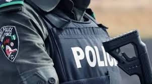 Police arrest 4 suspected cultists, recover weapons in Delta