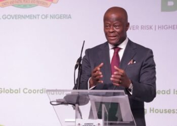 Edun advises developing countries to fashion strategies to reduce impacts of gobal economic shocks