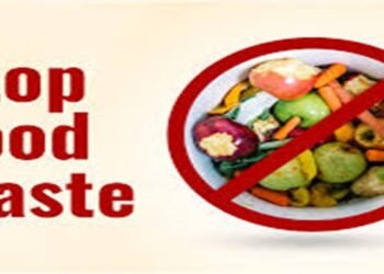 Nigeria leads Africa in food waste with 38m tonnes lost annually