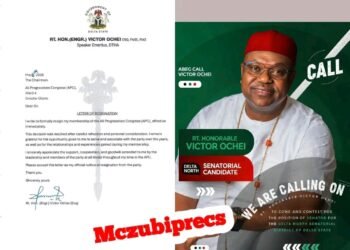 Delta APC suffers another major blow as Victor Ochei resigns after Omo-Agege’s exit