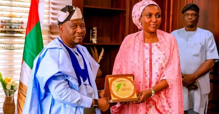 Gov. Fintiri pledges stronger collaboration with NEMA on flood prevention in Adamawa