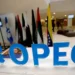 CRMI warns of global oil market risks after UAE’s exit from OPEC