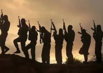 Oyo school abduction: Names, ages of 46 Vvctims released
