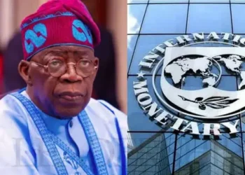 IMF raises concern over rising budget deficits in Nigeria, other African countries