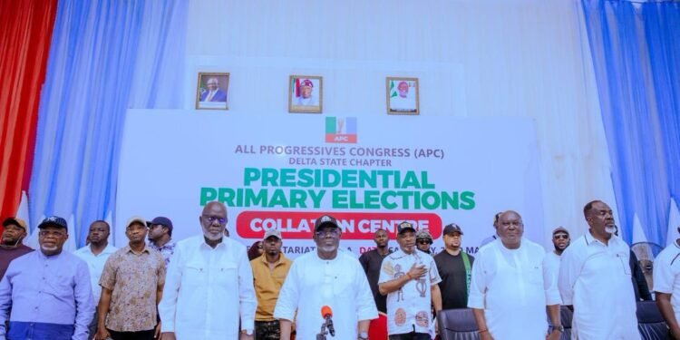 Tinubu win APC presidential primary in Delta, secures 407,646 votes