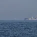 Iran opens Strait of Hormuz following suspension of US ships escort mission