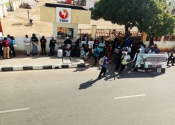 Violence disrupts power supply as YEDC suspends operations in Biu