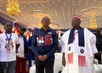 NDC zones presidential ticket to South
