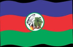 Court blocks inauguration of elected INC officials, restrains CITRE
