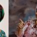 AWC applauds appointment of new leadership for Maryam Babangida Centre for Women Development