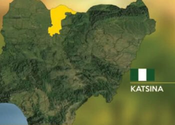 Security forces kill 5 suspected bandits, rescue 32 kidnap victims in Katsina