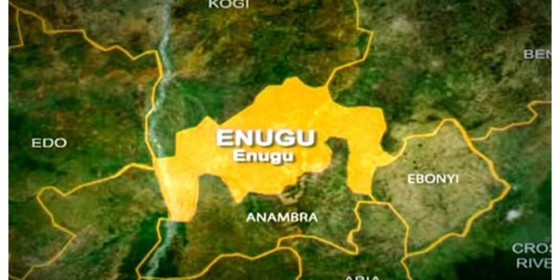 Enugu community raises alarm over alleged land grabbing, seeks government intervention