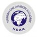 NCAA unveils digital portal to streamline drone operations in Nigeria