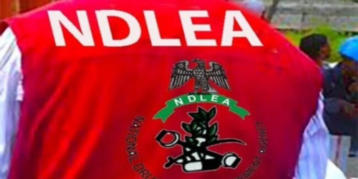 NDLEA, US DEA arrest suspected Nigerian drug kingpin in Switzerland
