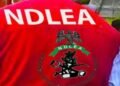 NDLEA, US DEA arrest suspected Nigerian drug kingpin in Switzerland