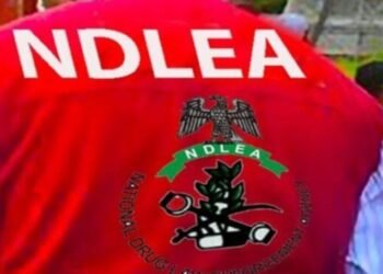 NDLEA, US DEA arrest suspected Nigerian drug kingpin in Switzerland