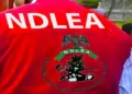 NDLEA arrests 6 suspected drug dealers in Kano